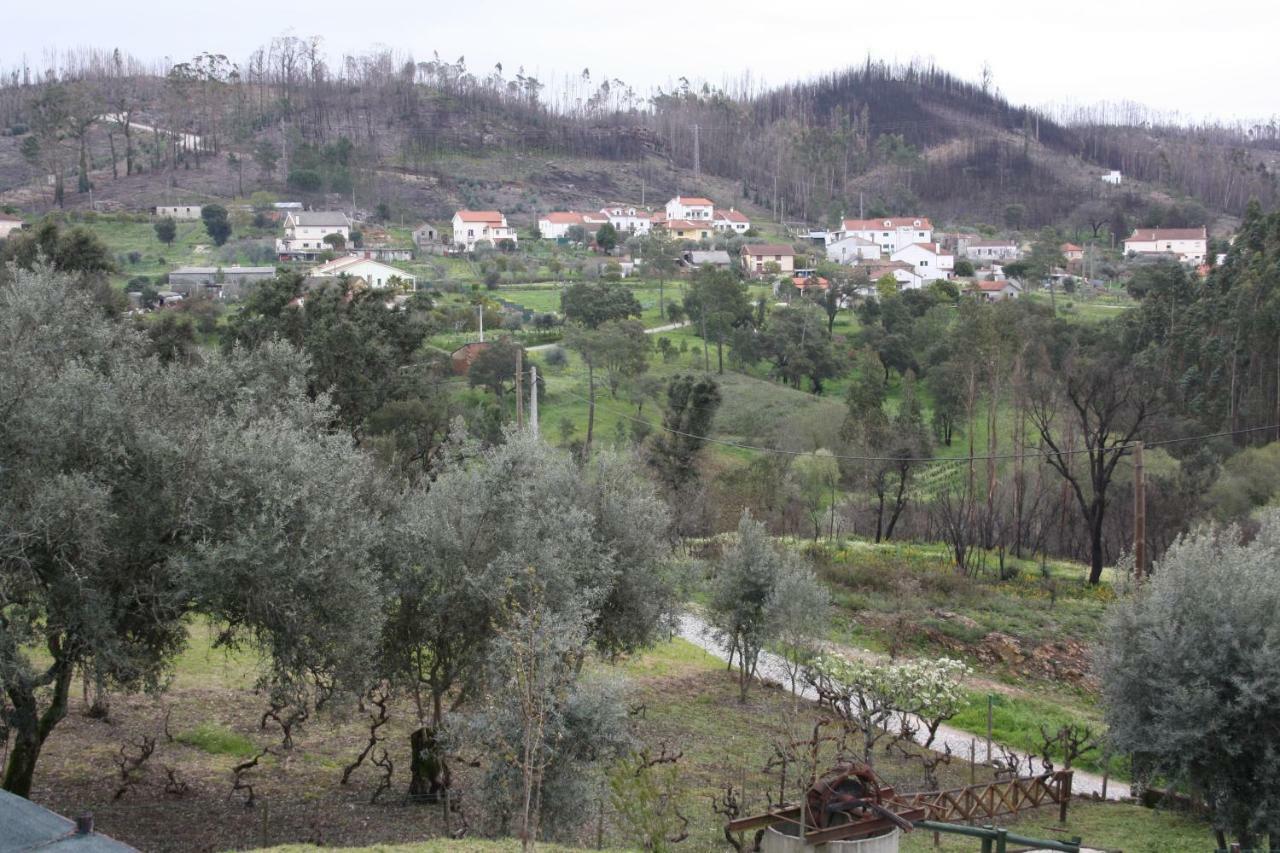 Quinta De S. Luis - Valada Villa Figueiro Dos Vinhos Luaran gambar